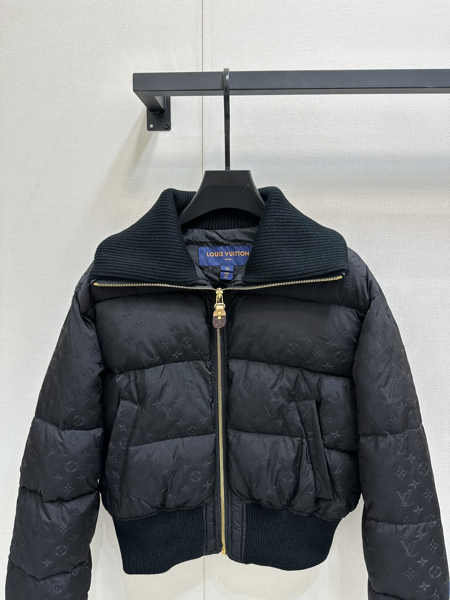 Louis Vuitton Down Jackets